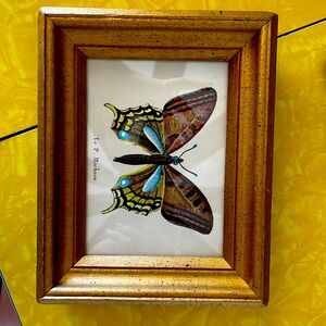 Lovely decorative MCM gold framed butterfly